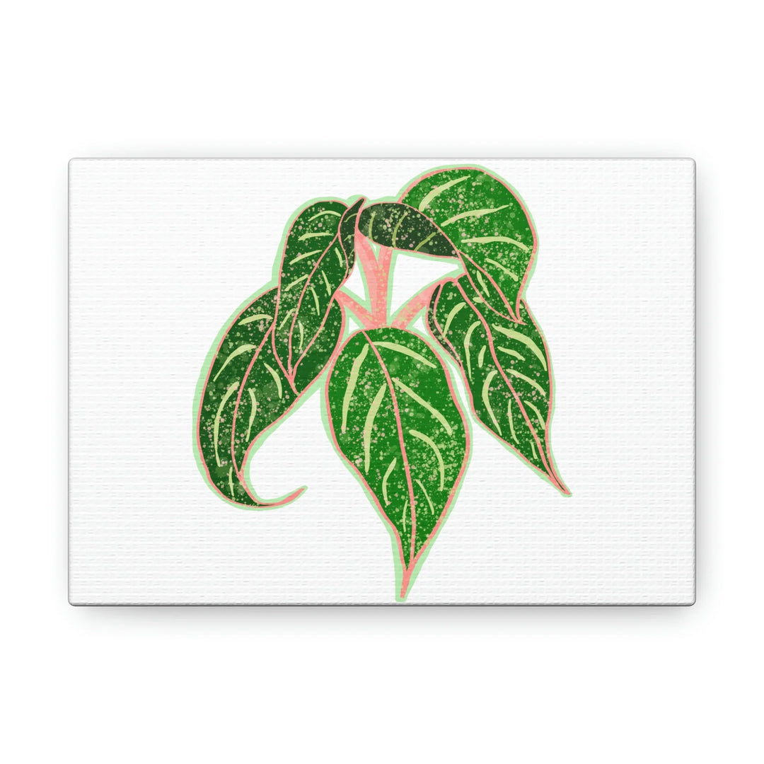 Aglaonema Plant Canvas | Sparkling Plant Artwork - Colorfast Canvas Art Print Decor