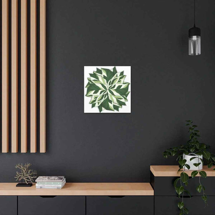 Calathea White Fusion Canvas | Indoor Wall Art - Matte Finish Botanical Canvas Art Print