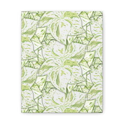 Snow Queen Pothos Canvas