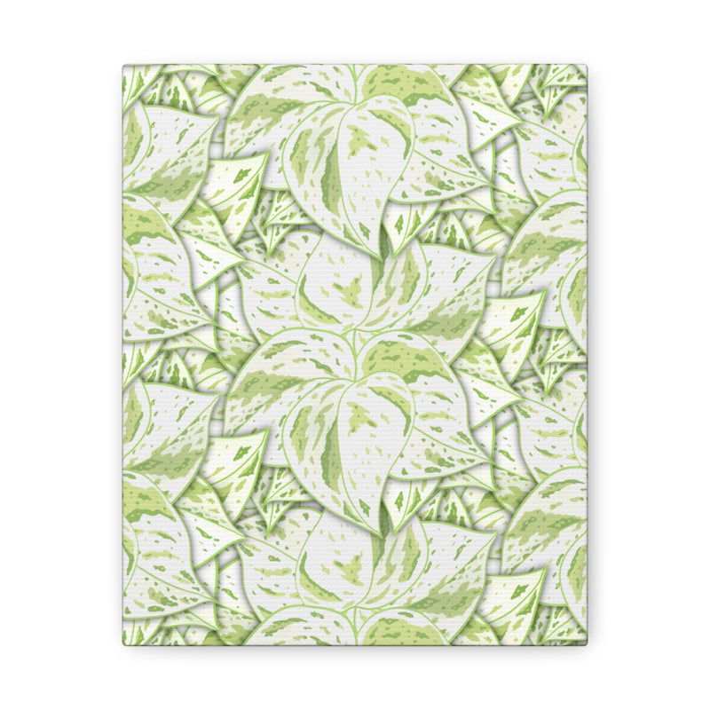 Snow Queen Pothos Canvas