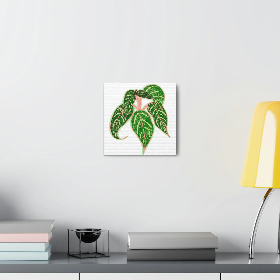Aglaonema Plant Canvas | Sparkling Plant Artwork - Colorfast Canvas Art Print Decor