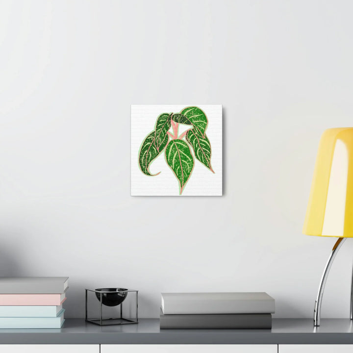 Aglaonema Plant Canvas | Sparkling Plant Artwork - Colorfast Canvas Art Print Decor