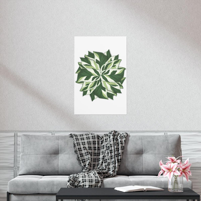 Calathea White Fusion Print, Poster, Laura Christine Photography & Design, Back to School, Bottle, Calathea, Canvas Bag, Coffee, Drinkware, Home & Living, Indoor, Matte, Paper, Posters, Prayer Plant, Reusable, Shopping Bag, Tea, Tote Bag, Travel, Tumbler, Valentine&