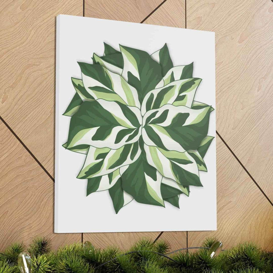 Calathea White Fusion Canvas | Indoor Wall Art - Matte Finish Botanical Canvas Art Print