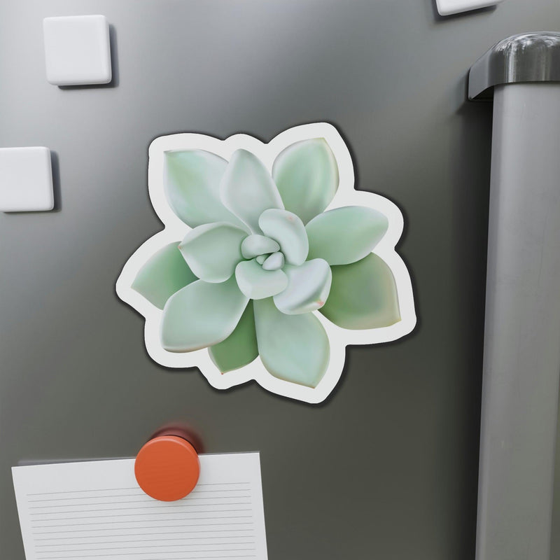 Pachyveria Haagei Succulent Magnets, Home Decor, Printify, Home & Living, Magnets, Magnets & Stickers, Valentine&