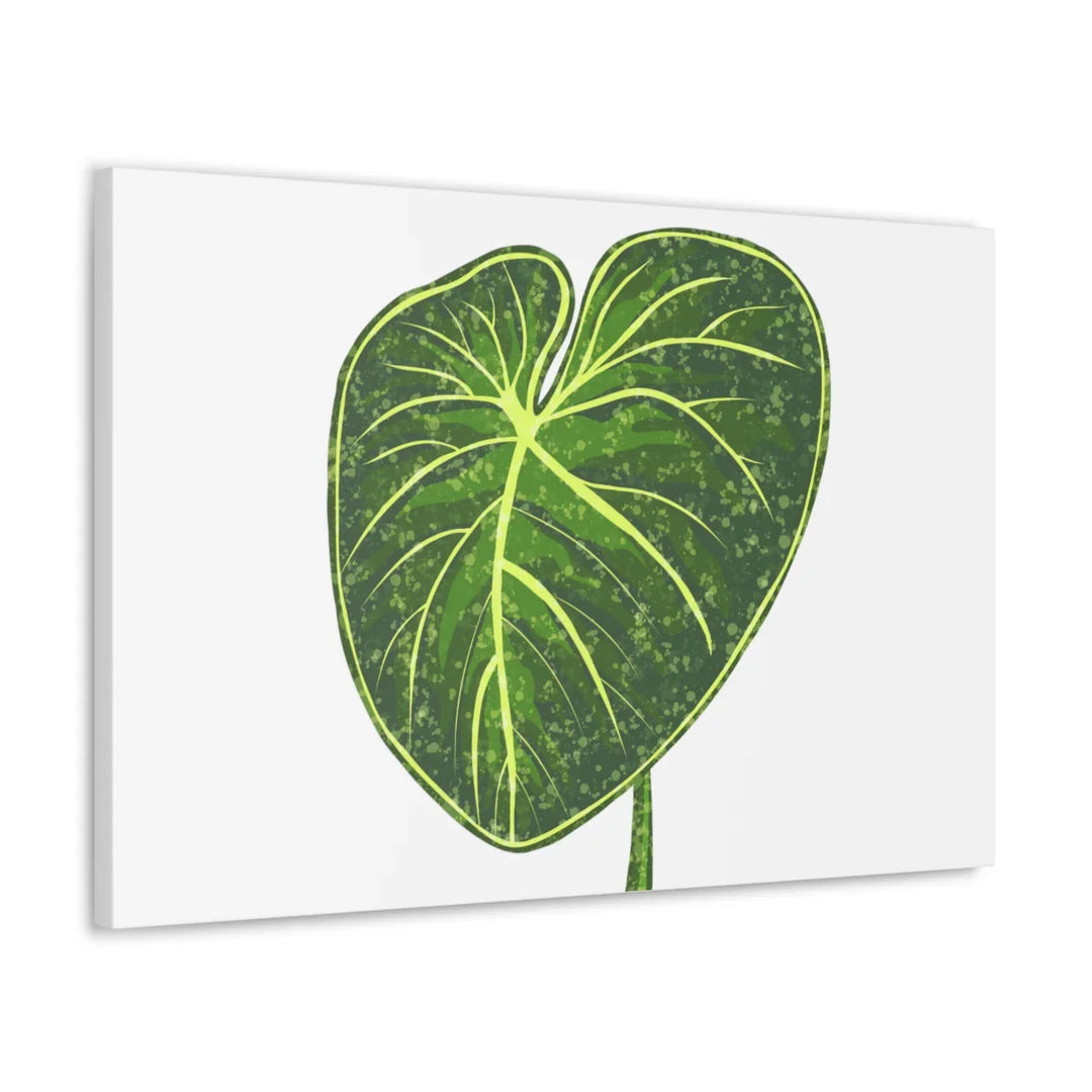 Philodendron Gloriosum Canvas - Stretched Canvas Art Print | Matte Indoor Wall Art - Laura Christine Photography & Design