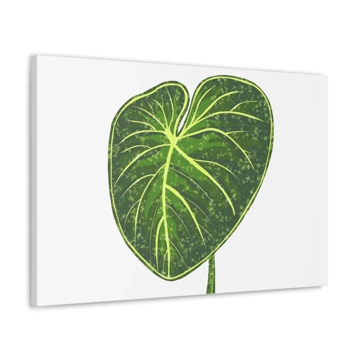 Philodendron Gloriosum Canvas - Stretched Canvas Art Print | Matte Indoor Wall Art - Laura Christine Photography & Design