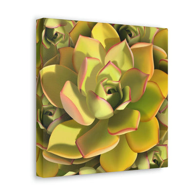 Noble Aeonium Succulent Pattern Canvas, Canvas, Printify, Art & Wall Decor, Canvas, Hanging Hardware, Home & Living, Indoor, Laura Christine Photography & Design, laurachristinedesign.com