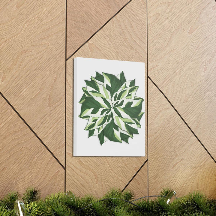 Calathea White Fusion Canvas | Indoor Wall Art - Matte Finish Botanical Canvas Art Print - Laura Christine Photography & Design