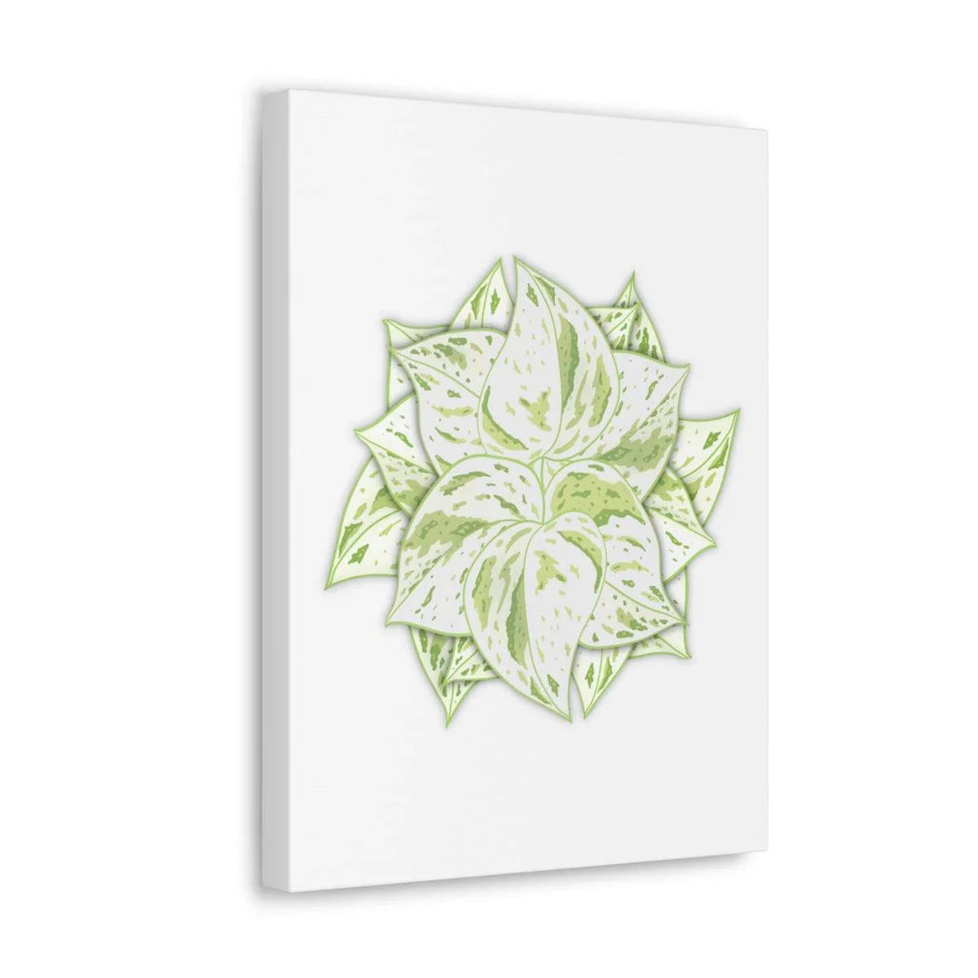 Snow Queen Pothos Canvas – Variegated Leaf Canvas Art Print | Durable Cotton - Laura Christine Photography & Design