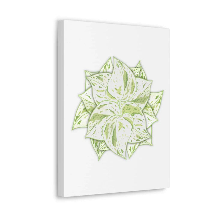 Snow Queen Pothos Canvas – Variegated Leaf Canvas Art Print | Durable Cotton - Laura Christine Photography & Design