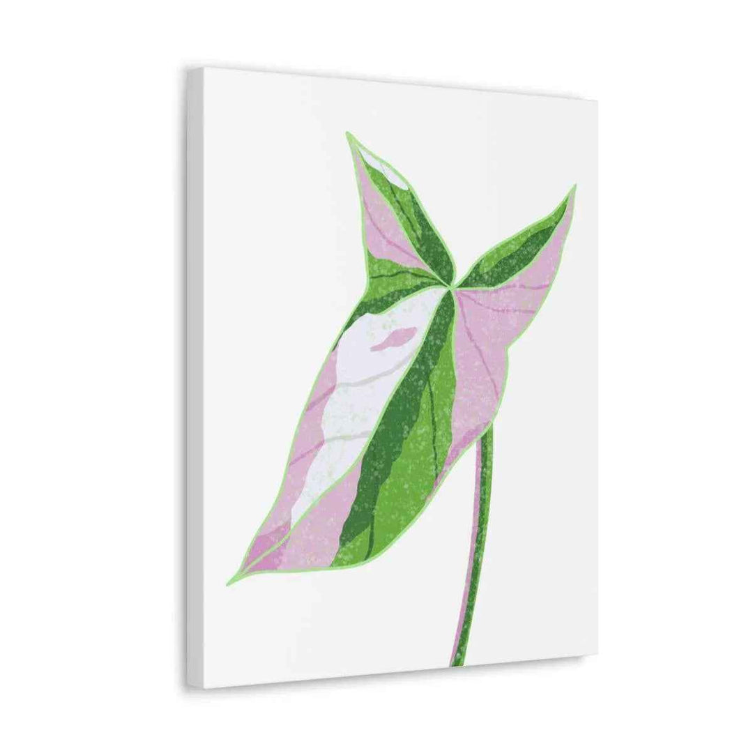 Syngonium Tricolor Canvas | Botanical Canvas Art Print With Matte Finish