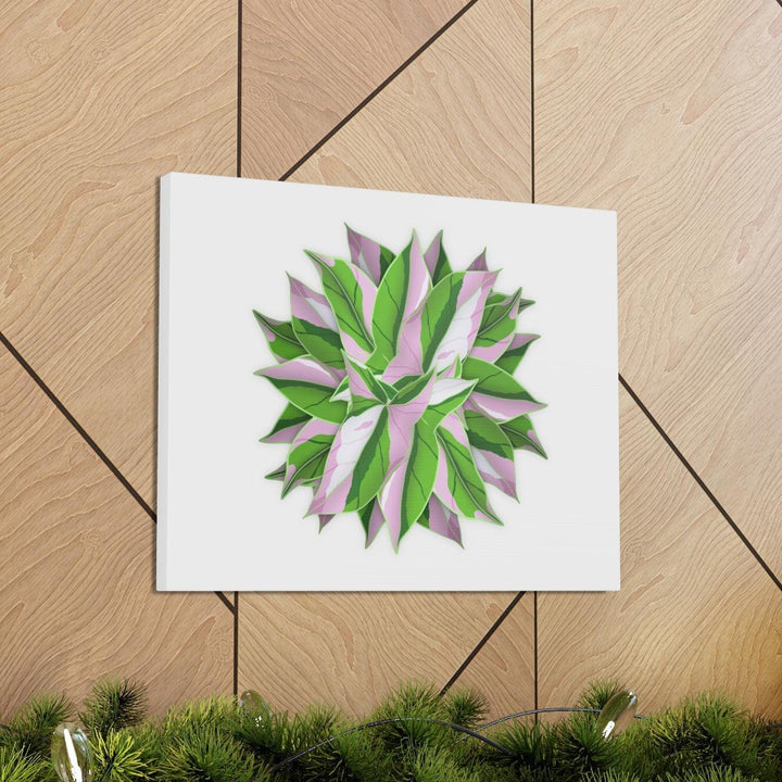 Tricolor Syngonium Canvas - Durable Canvas Art Print With Matte Finish & Botanical Design - Laura Christine Photography & Design