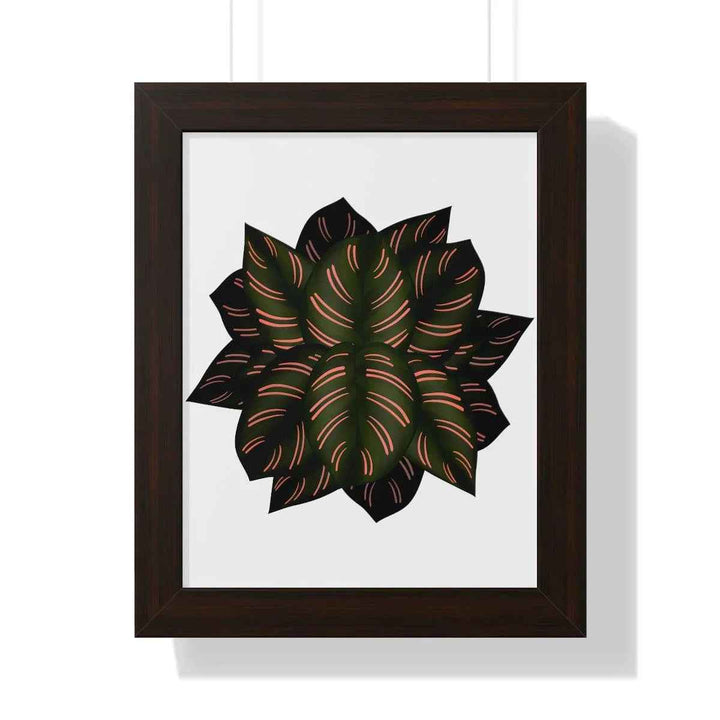Calathea Pinstripe Print - Framed Botanical Art With Matte Finish & Acrylic Cover