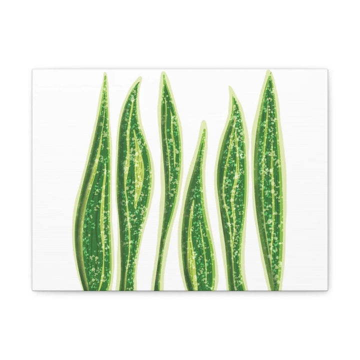 Snake Plant Canvas | Botanical Canvas Decor - Matte Finish Artwork for Living Room - Laura Christine Photography & Design