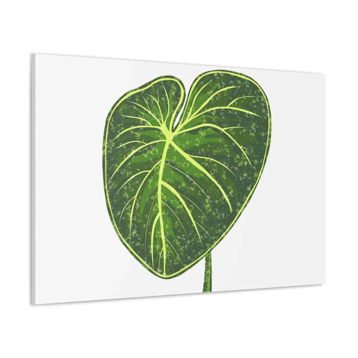 Philodendron Gloriosum Canvas - Stretched Canvas Art Print | Matte Indoor Wall Art