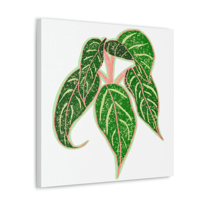 Aglaonema Plant Canvas | Sparkling Plant Artwork - Colorfast Canvas Art Print Decor