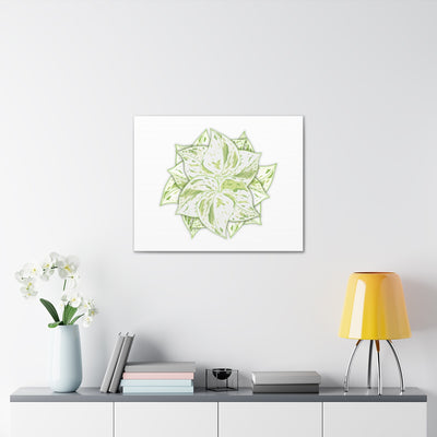 Snow Queen Pothos Canvas