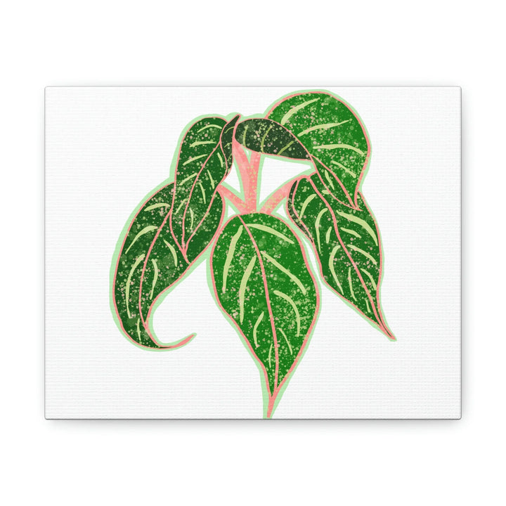 Aglaonema Plant Canvas | Sparkling Plant Artwork - Colorfast Canvas Art Print Decor