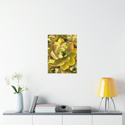 Noble Aeonium Succulent Pattern Print, Poster, Printify, Back to School, Home & Living, Indoor, Matte, Paper, Posters, Valentine's Day promotion, Laura Christine Photography & Design, laurachristinedesign.com