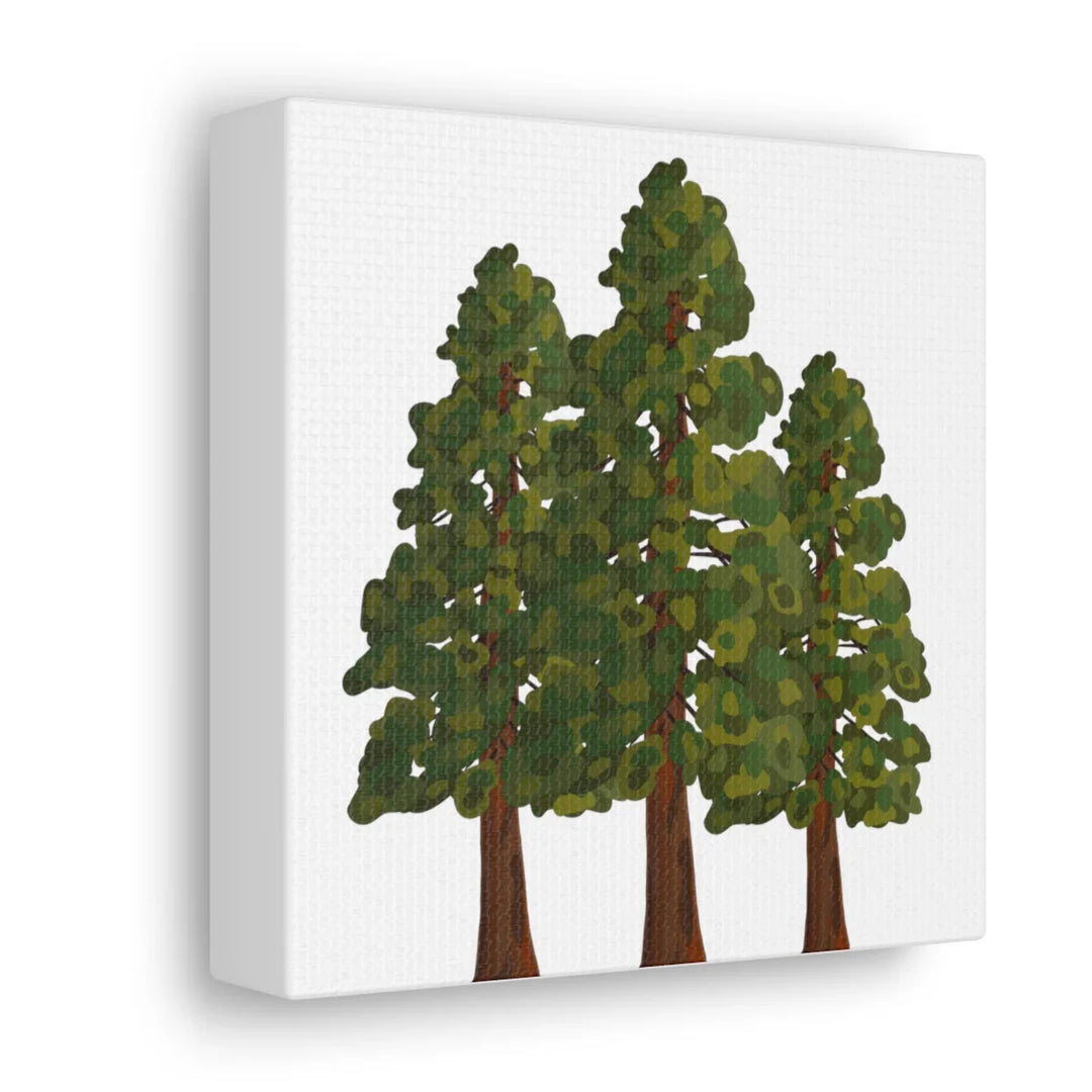Coastal Redwoods Canvas - Stretched Cotton Canvas Art Print | Matte Finish Wall Hanging Artwork