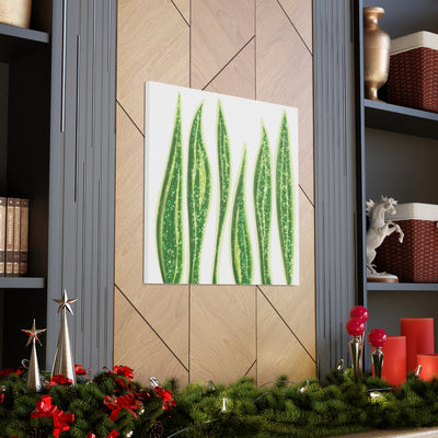 Snake Plant Canvas