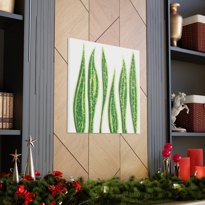 Snake Plant Canvas