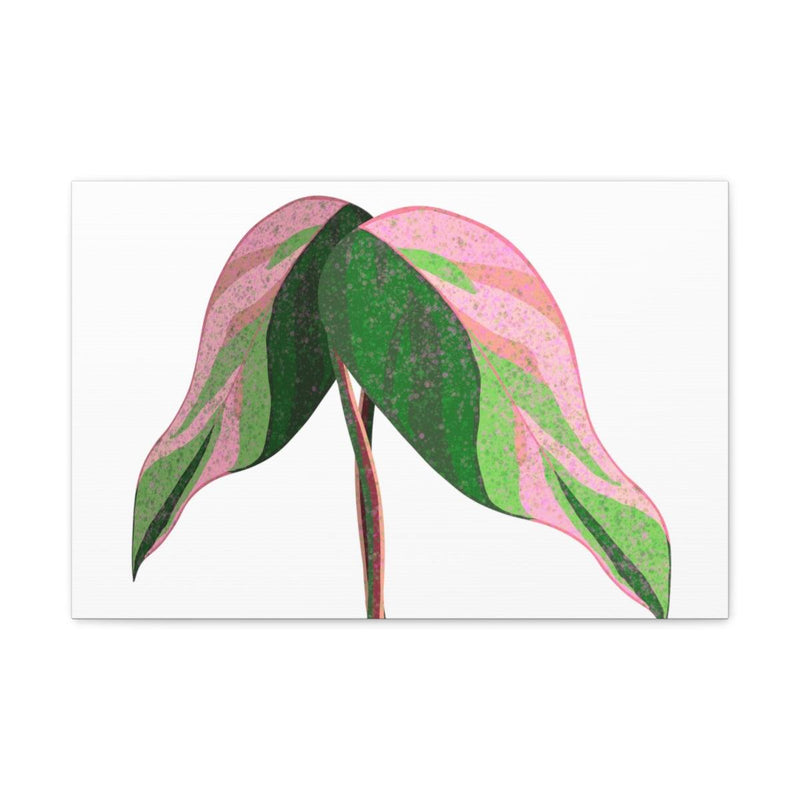 Pink Princess Philodendron Canvas, Canvas, Laura Christine Photography & Design, Art & Wall Decor, Canvas, Hanging Hardware, Home & Living, Indoor, Laura Christine Photography & Design, laurachristinedesign.com