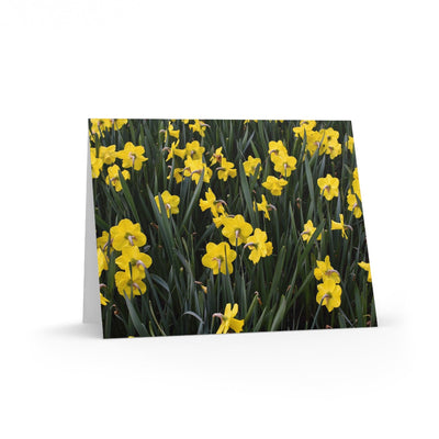 Daffodils Photo Greeting Card, Paper products, Printify, Greeting Card, Holiday Picks, Home & Living, Paper, Postcard, Postcards, Laura Christine Photography & Design, laurachristinedesign.com