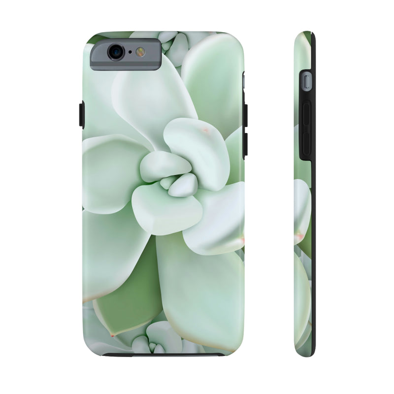 Pachyveria Haagei Succulent Phone Case, Phone Case, Printify, Accessories, Glossy, iPhone Cases, Matte, Phone accessory, Phone Cases, Samsung Cases, Laura Christine Photography & Design, laurachristinedesign.com