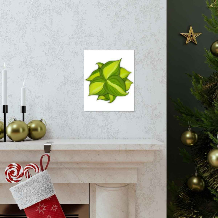 Philodendron Brasil Print – Botanical Wall Art on Museum Grade Paper Poster Unframed