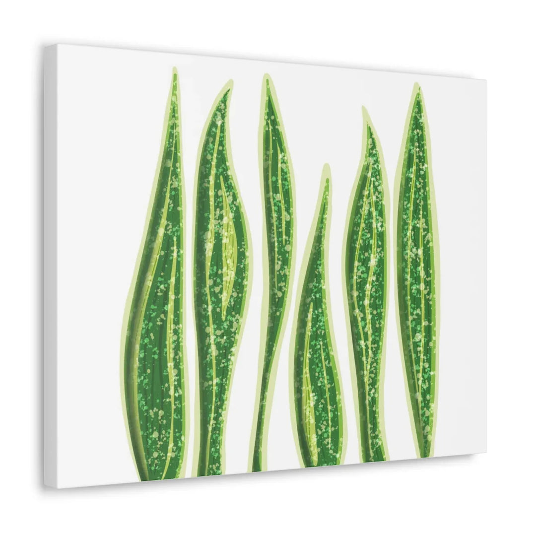 Snake Plant Canvas | Botanical Canvas Decor - Matte Finish Artwork for Living Room - Laura Christine Photography & Design