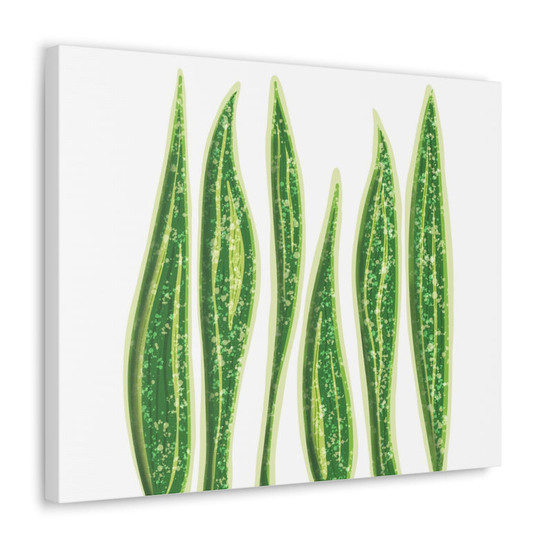 Snake Plant Canvas