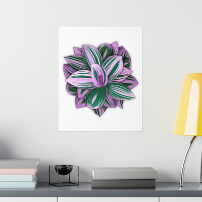 Tradescantia Nanouk Print