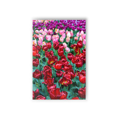 Pink, purple, and red tulips #2 - Postcard, 10-pack, Paper products, Printify, Back to School, Home & Living, Indoor, Matte, Paper, Posters, Laura Christine Photography & Design, laurachristinedesign.com