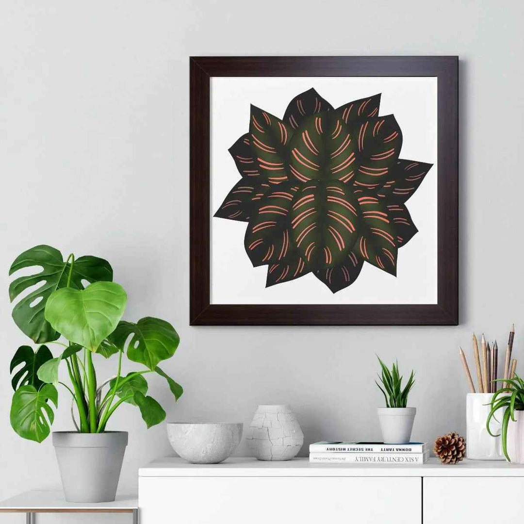 Calathea Pinstripe Print - Framed Botanical Art With Matte Finish & Acrylic Cover