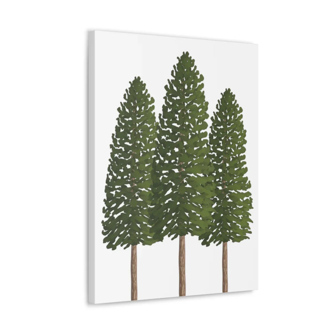 Ponderosa Pine Canvas - Large Stretched Cotton Canvas Art Print With Matte Finish