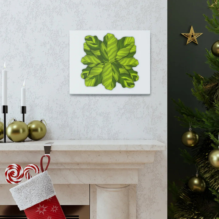 Calathea Yellow Fusion Canvas – Botanical Canvas Print With Unique Leaf Pattern Art - Laura Christine Photography & Design
