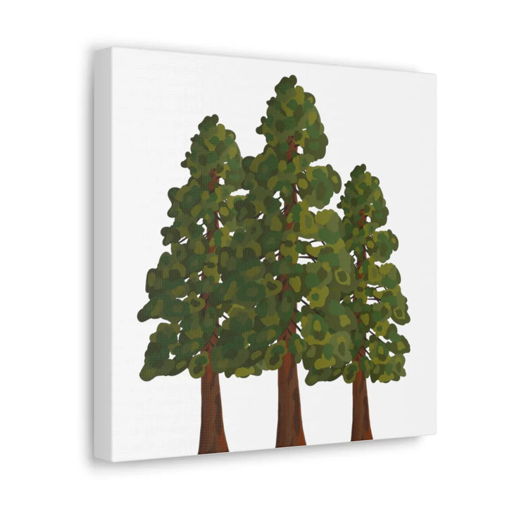 Coastal Redwoods Canvas - Stretched Cotton Canvas Art Print | Matte Finish Wall Hanging Artwork