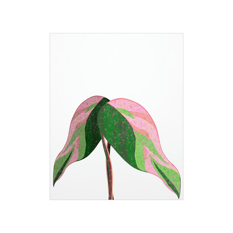 Pink Princess Philodendron Print