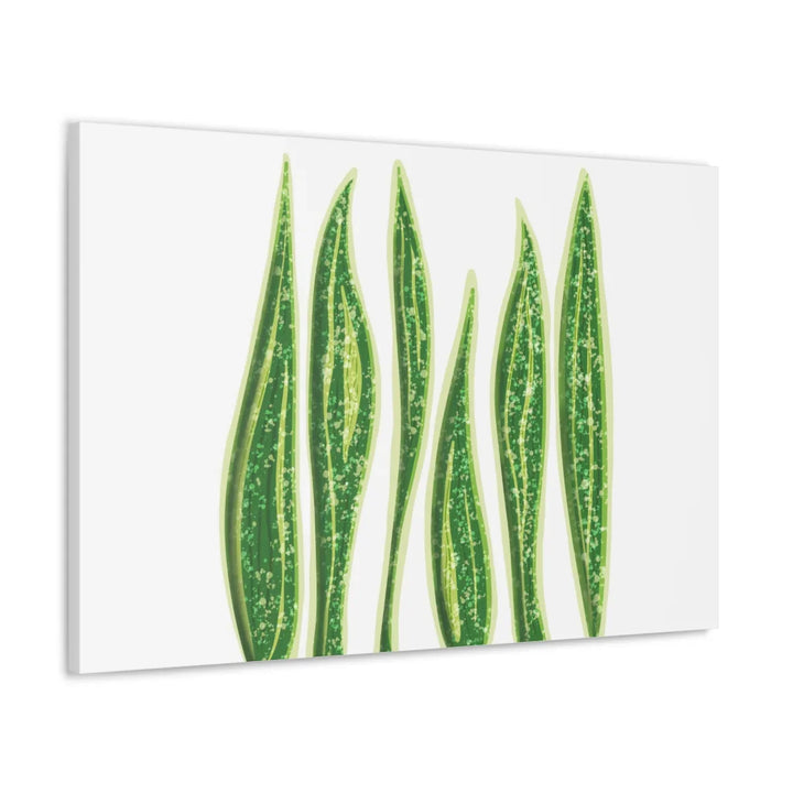 Snake Plant Canvas | Botanical Canvas Decor - Matte Finish Artwork for Living Room - Laura Christine Photography & Design