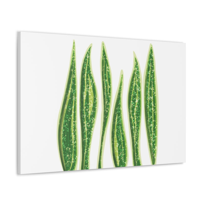 Snake Plant Canvas