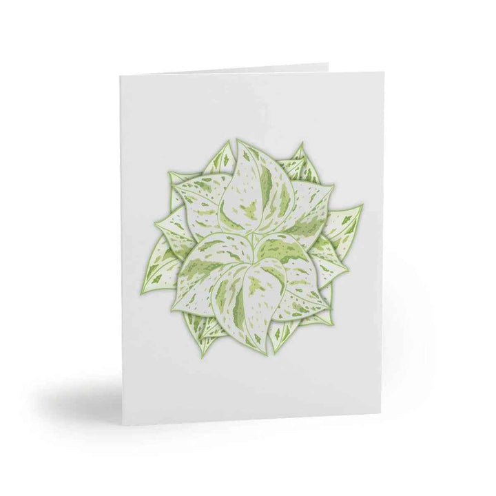 Snow Queen Greeting Card – Pothos Variegated Plant Design on Robust Cardstock
