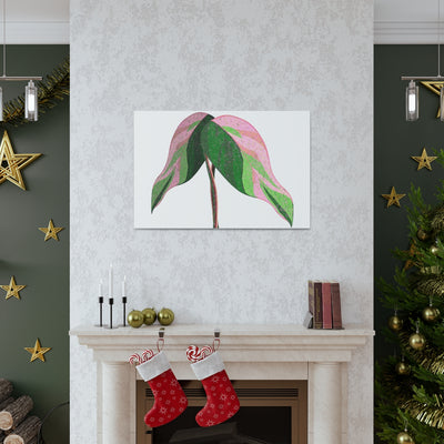 Pink Princess Philodendron Canvas