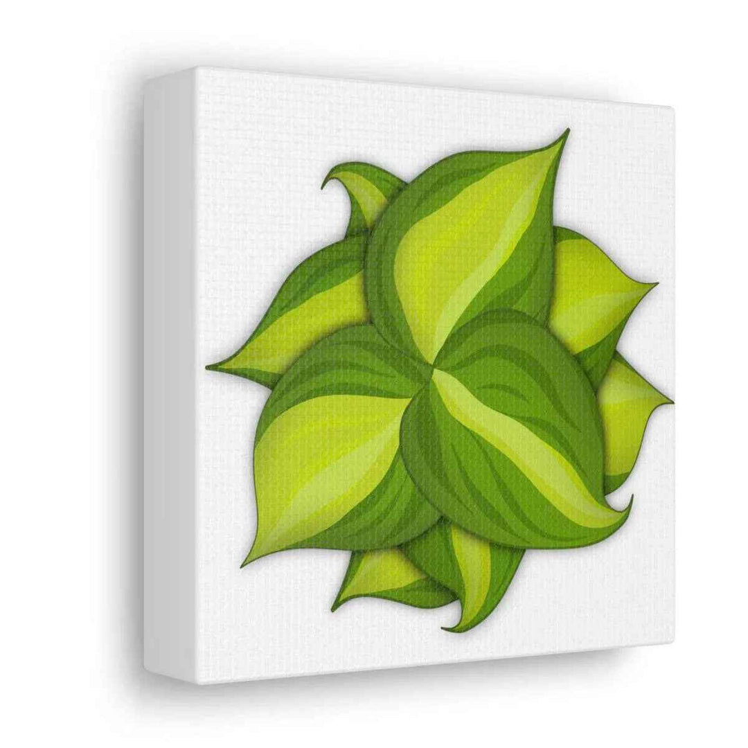 Philodendron Brasil Canvas - Botanical Canvas Art Print With Matte Finish & Durable Hanging