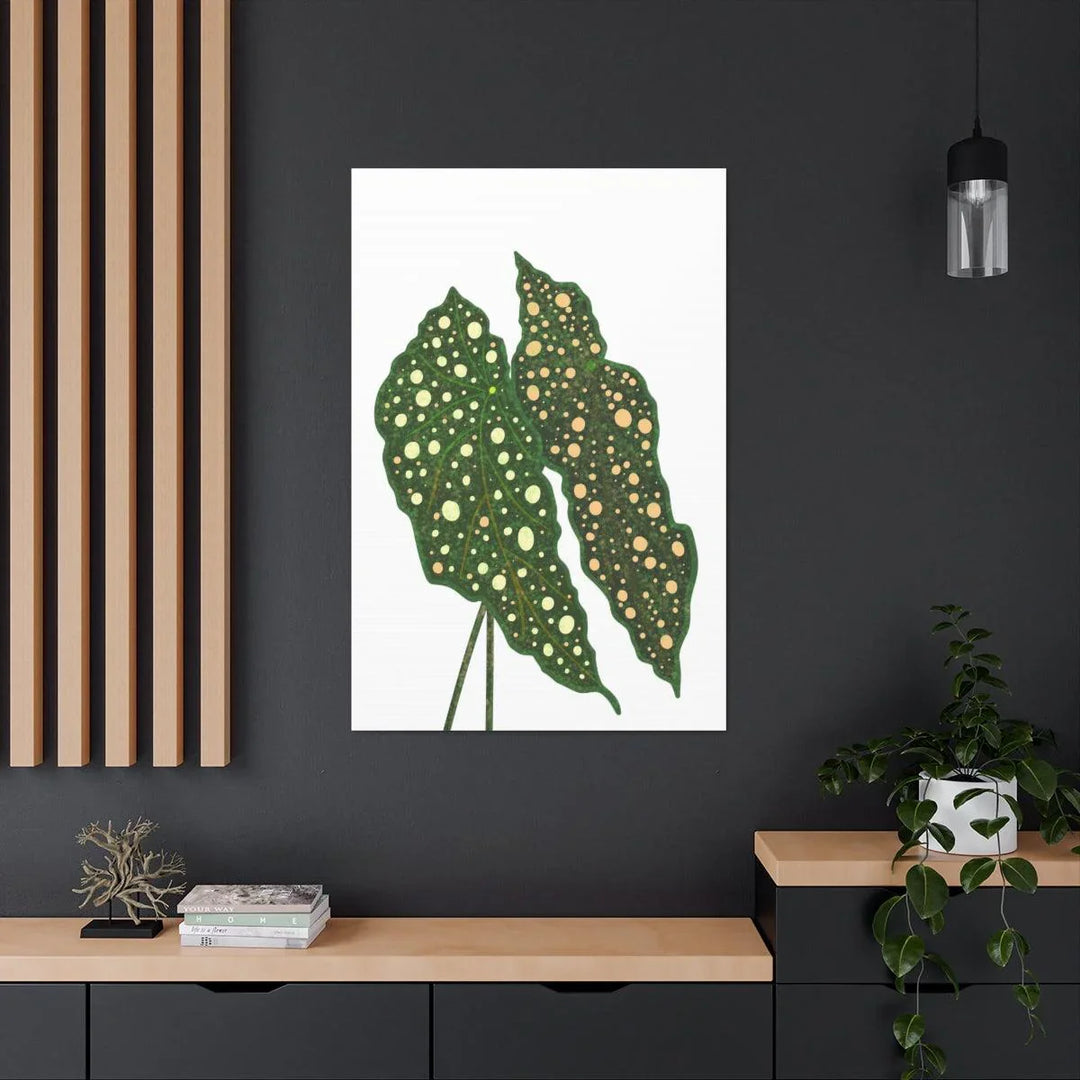 Begonia Maculata Canvas | Premium Canvas Art Print - Matte Finish, Durable Wall Decor - Laura Christine Photography & Design