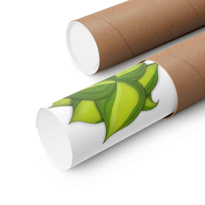 Philodendron Brasil Print – Botanical Wall Art on Museum Grade Paper Poster Unframed