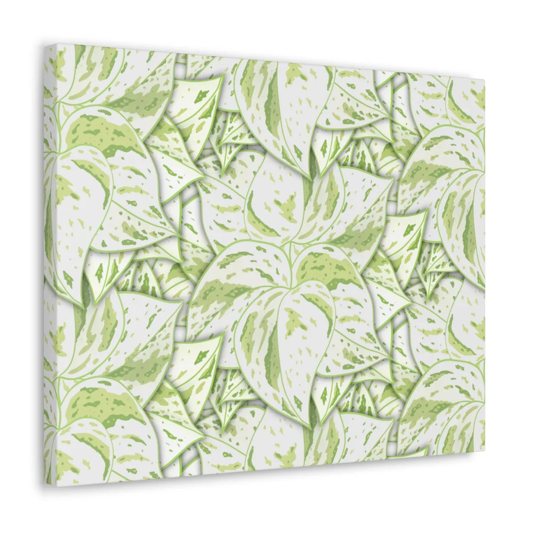 Snow Queen Pothos Canvas – Matte Finish Canvas Art Print | Variegated Botanical Wall Decor