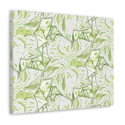 Snow Queen Pothos Canvas