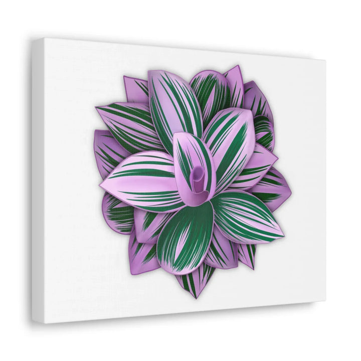 Tradescantia Nanouk Canvas – Botanical Canvas Art Print | Matte Finish Wall Decor - Laura Christine Photography & Design